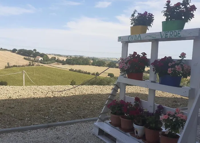 Onda Couette-café *